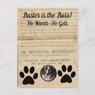 Uw hond Foto in Paws 1860 Legal Document Funny Briefkaart