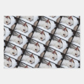 Uw hond puppy 3 aangepaste foto's chihuahua inpakpapier vel (Voorkant)