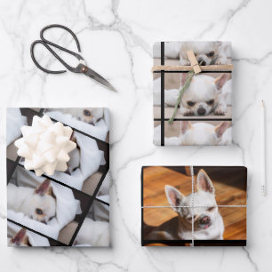 Uw hond puppy 3 aangepaste foto's chihuahua inpakpapier vel