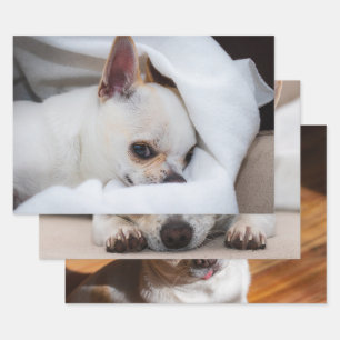 Uw hond puppy op maat 3 foto chihuahua inpakpapier vel