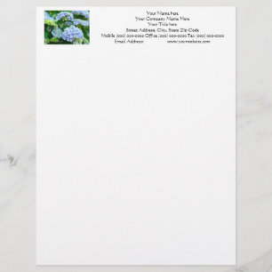 Uw Naam Briefhoofd Adres Telefoon Hydrangea's