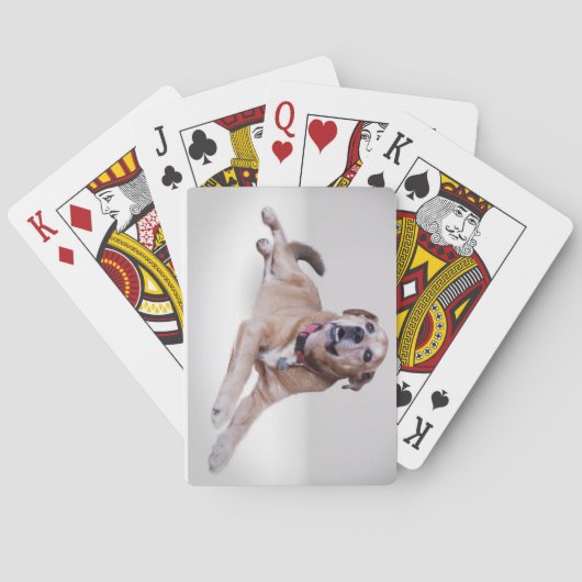 Uw petfoto op speelkaarten (Achterkant)