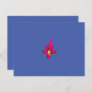 Uw vakantie in uw zak briefkaart