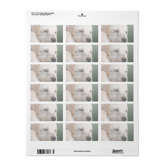 Uw vierkante Afbeelding vervangt Yellow Lab Puppy Etiket (Full Sheet)