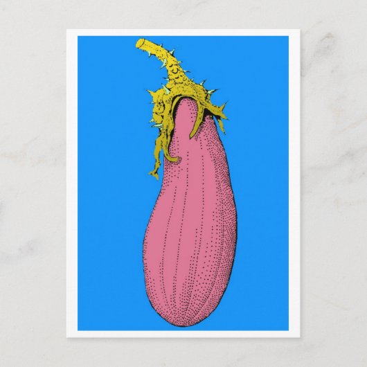 v briefkaart (Voorkant)