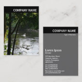 V Header - Foto - Zwan op de rivier Visitekaartje (Voorkant / Achterkant)