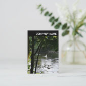 V Header - Foto - Zwan op de rivier Visitekaartje (Staand voorkant)