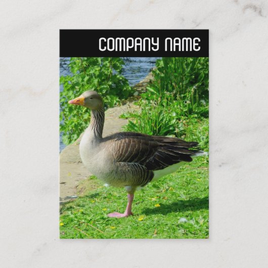 V Header - Grauwe Gans Visitekaartje (Voorkant)