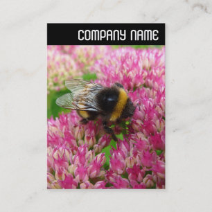V Header - Hommels op Sedum Visitekaartje