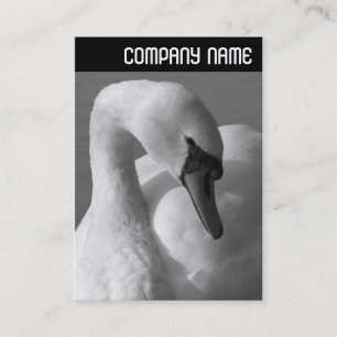 V Header - Zwaan B&W Visitekaartje