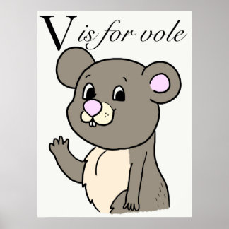 V is voor poriel poster