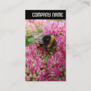 V-koptekst - Bumble Bee Sedum Visitekaartje