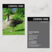 V-koptekst - Greylag Goose Visitekaartje (Voorkant / Achterkant)