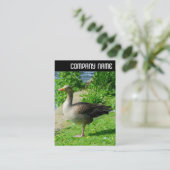 V-koptekst - Greylag Goose Visitekaartje (Staand voorkant)