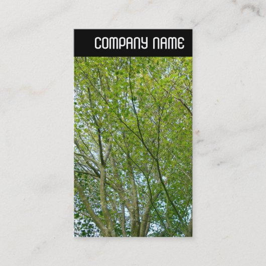 V-koptekst - Japanse aple Visitekaartje (Voorkant)