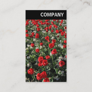 V-koptekst - Rode Tulpen en primroses Visitekaartje