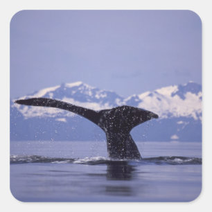 V.S., Alaska, Inside Passage Bultrug Vierkante Sticker
