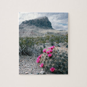 V.S., Texas, Big Bend National Park. Bloeiend Legpuzzel