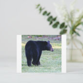 va zwart beer briefkaart (Staand voorkant)