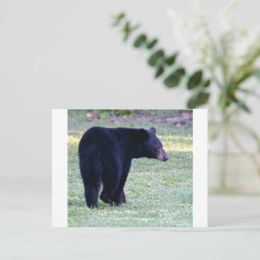 va zwart beer briefkaart (Staand voorkant)