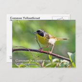 Vaak gele keelpijn Briefkaart (Voorkant / Achterkant)