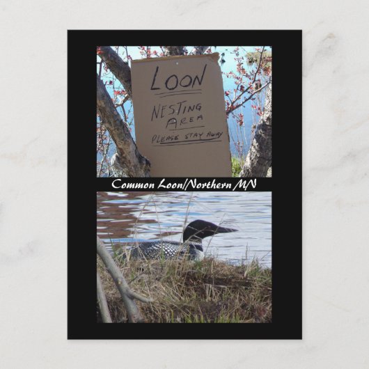 Vaak Loon Nesting Briefkaart (Voorkant)