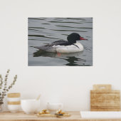 Vaak Merganser mannelijk Poster (Keuken)
