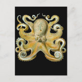 Vaak Octopus Briefkaart (Voorkant)