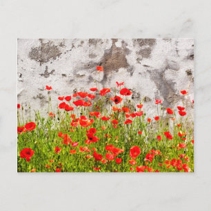 Vaak voorkomende papaver briefkaart