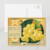  vaalkarbonadekunst, muskaatdruiven briefkaart (Voorkant / Achterkant)