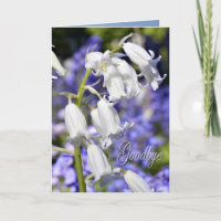 Vaarwel, sympathiekaart