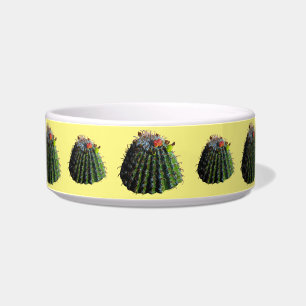 Vaatjes Cactus Honden Voerbakken Voerbakje