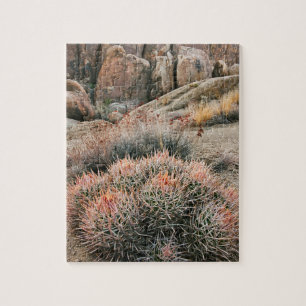 Vaatjes Cactus In Californië Legpuzzel