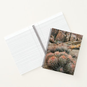 Vaatjes Cactus In Californië Notitieboek