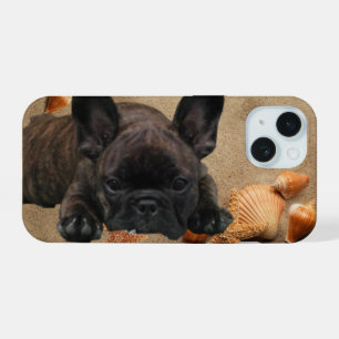 Vacances de Bouledogue Français au bord de la mer