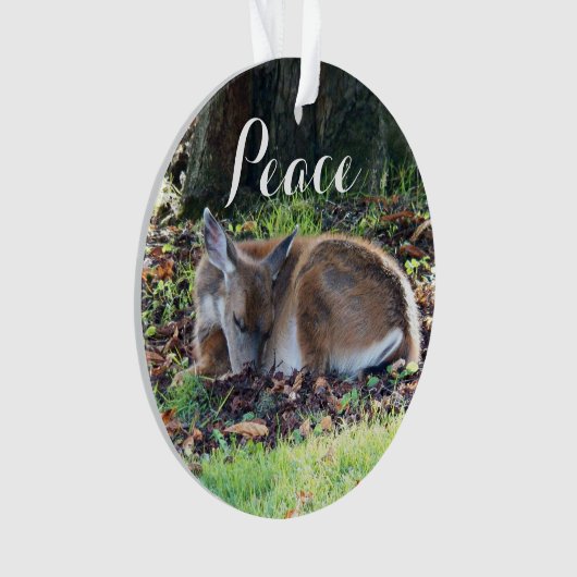 Vacances de la paix de Deep (devant)