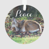 Vacances de la paix de Deep (dos)