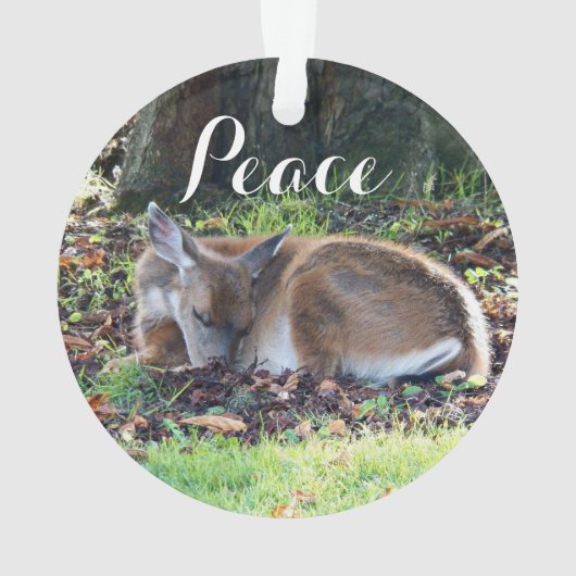 Vacances de la paix de Deep (dos)