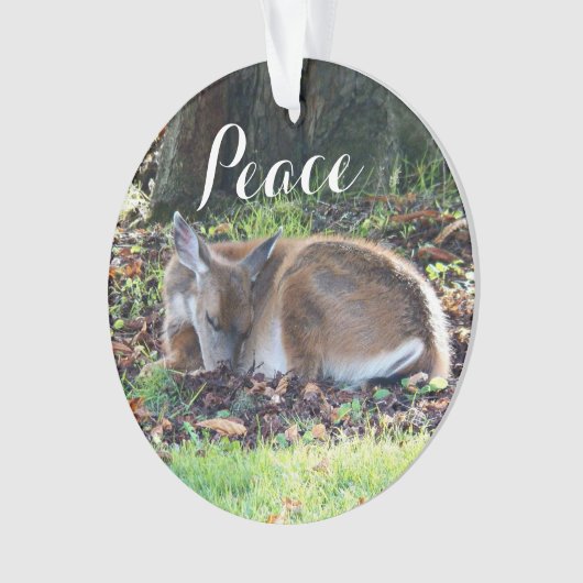 Vacances de la paix de Deep (devant)