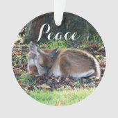 Vacances de la paix de Deep (devant)