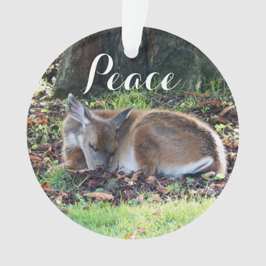 Vacances de la paix de Deep (devant)