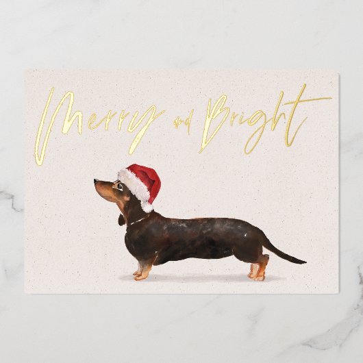 Vacances de Noël Dachshund Chien Joyeux Salut (Recto)
