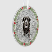 Vacances de Noël Werath Pet Photo (devant)