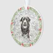 Vacances de Noël Werath Pet Photo (devant)