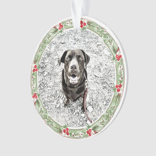 Vacances de Noël Werath Pet Photo (devant)