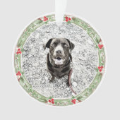 Vacances de Noël Werath Pet Photo (devant)