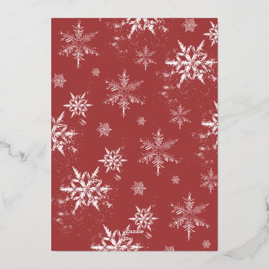 Vacances de photos de famille de script minimalist (Verso)