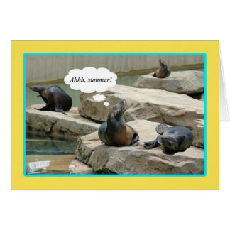 Vacances d'été ! Il est temps de chillaxine'