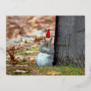 Vacances En Aluminium Funny Squirrel Père Noël carte postale de Noël