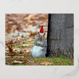 Vacances En Aluminium Funny Squirrel Père Noël carte postale de Noël